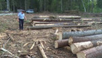 Сотрудники Пограничного управления Федеральной службы безопасности Российской Федерации по Карачаево-Черкесской Республике выявили факты незаконной вырубки леса